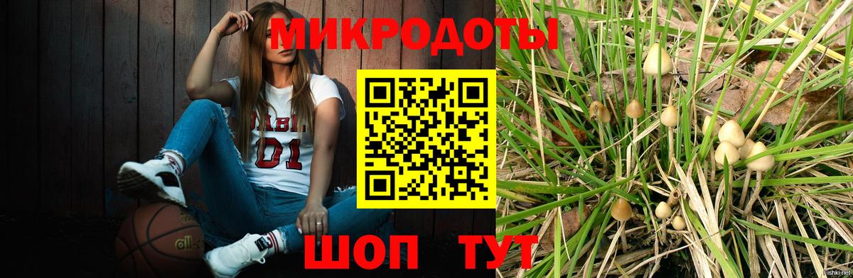 дарнет шоп  Псилоцибиновые грибы прущие грибы  Вход с VPN  Псилоцибиновые грибы Cubensis  Кирово-Чепецк 